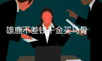 雄鹿不差钱千金买马骨 字母哥实现一个亿小目标