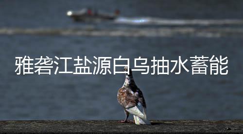 雅砻江盐源白乌抽水蓄能电站中标结果 雅砻源白需尽快建设完成