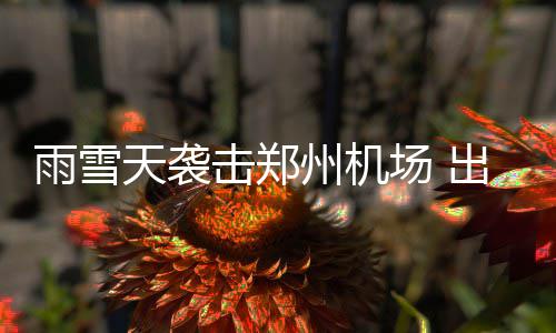 乔治凶猛2+1掀翻大白边 韦德百步穿杨独木难支 班延雨雪天袭击郑州机场