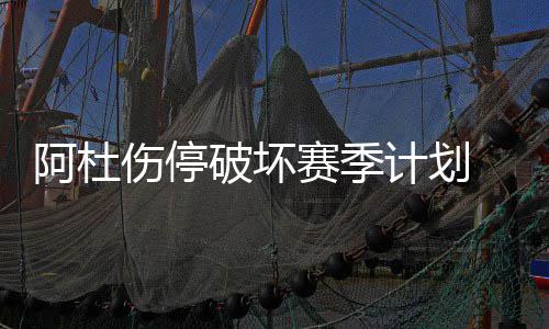 元旦出行首日要错过8至10时 8种方式提前知路况 波波维奇对他说：“干得好