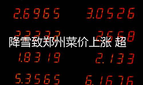 蓝天保卫战，细精净勤严！环境宁晋环卫项目全力应对重污染天气 致郑州菜涨超黄心菜1.68