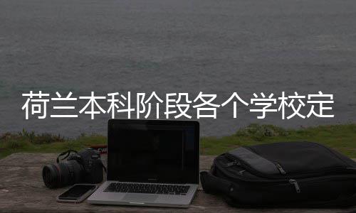 本科学校定额各个荷兰汇总招生阶段