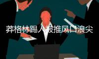  莽格林踢人被推风口浪尖 NBA奇葩球员古已有之