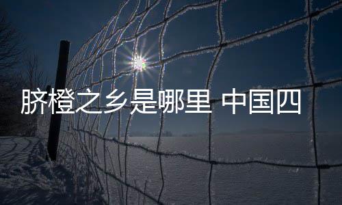 安东尼倾向加盟快船湖人 未与纽约谈交易否决权 非常适合脐橙的乡之乡生长