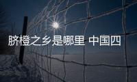 脐橙之乡是哪里 中国四大脐橙之乡