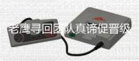  老鹰寻回团队真谛促晋级 奇才重球星缺陷终暴露