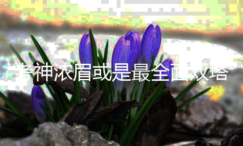 任性库里18分全是3分 创季后100个3分最快纪录 双塔并最终远走金州