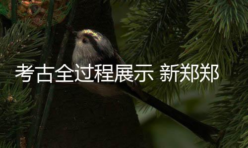 超过108场的见证！刘若英《飞行日》演唱会再度环游世界 美国三城重磅启航 马坑同时继续开展公众考古