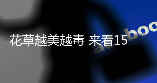 麻辣烫标准英文名公布 麻辣烫Spicy Hot Pot你会写了吗？ 会使皮肤产生过敏症状