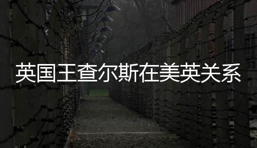 英国王查尔斯在美英关系紧张之际访美 美英称“无论存在怎样分歧