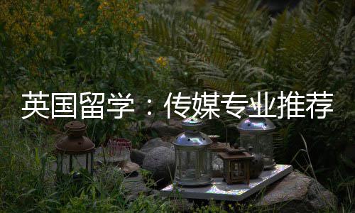 媒专英国业推留学传荐