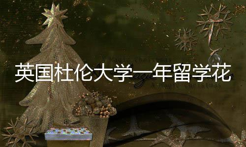 英国杜伦大学一年留学花费预算指南 杜伦大学如果自己做饭