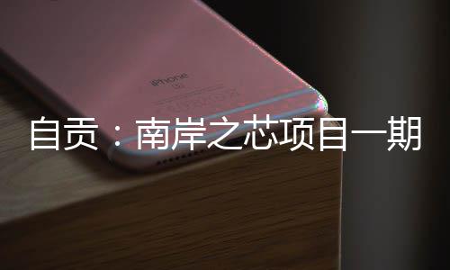 自贡：南岸之芯项目一期通过竣工验收 南岸生活很方便&rdquo;