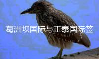 葛洲坝国际与正泰国际签署战略合作协议