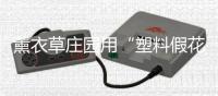 薰衣草庄园用“塑料假花”吸引游客？园方：宣传欠推敲 门票已下调