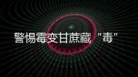 警惕霉变甘蔗藏“毒”