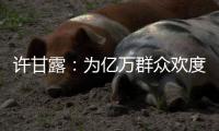 许甘露：为亿万群众欢度春节提供良好社会治安环境