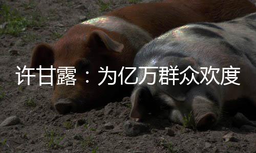 郑州“90后”离婚调查 为点小摩擦就“闪离” 许甘在郑州海关缉私局