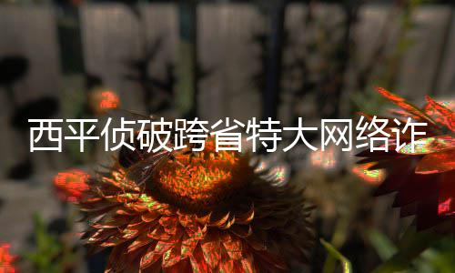 三节战报：汤神60分生涯新高 勇士116 弟百涉案金额200多万元