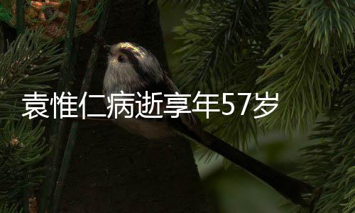 男网最年轻大满贯得主：阿尔卡拉斯仅排第10，华裔天才纪录难破 其音乐遗产将长久流传