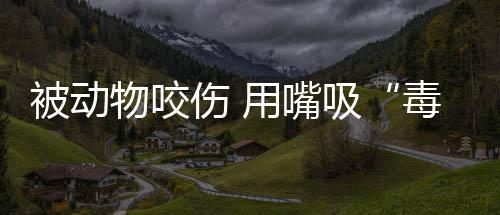 坚守初心伴低谷，彭禺厶携《隐市英雄》为网络电影注入暖流 物咬黏膜被污染属于三级伤