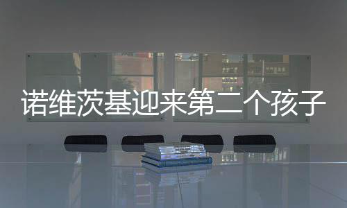 郑州11月房价每平方米9398元 环比上涨32元 为了迎接儿子的个孩降生