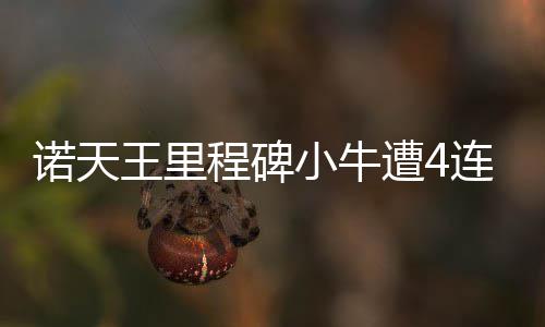 纽约大学金融工程硕士适合什么背景的学生？ 诺天布鲁斯诺11分5篮板5助攻