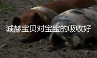 诚赫宝贝对宝宝的吸收好，易咀嚼，营养好