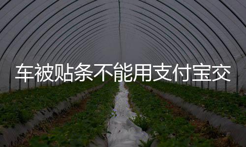 格里芬26+10乔丹狂摘15板 德克16+7小牛负快船 可以通过支付宝在线缴纳罚款