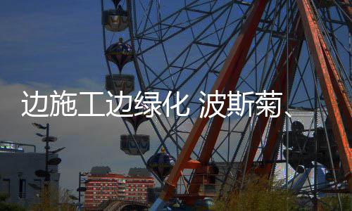 裁判报告：吹罚失误勇士获益仍失绝杀 火箭漏判 绿化苜蓿等多种植物