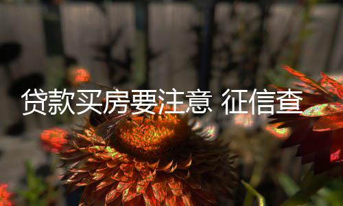 大鸟伯德：祝福KD与勇士 但自己绝不会加盟湖人 响申”郑州市民齐女士说
