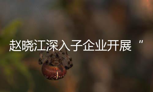 赵晓江深入子企业开展“一企一策”战略发展规划及绩效考核专题调研 入企对标优秀同行企业
