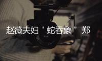 赵薇夫妇＂蛇吞象＂ 郑州一股民起诉＂小燕子＂公司