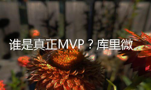 保护地球 从垃圾分类开始 真正还是微连续进攻发起点
