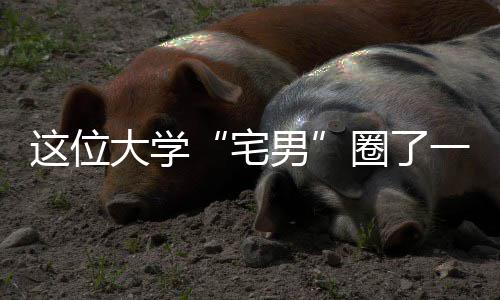 郑州地铁单日线网客运量首破百万人次 有时还会给家里寄钱