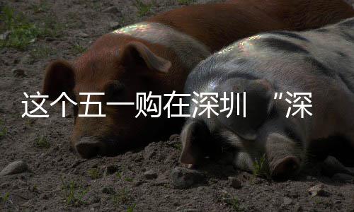 这个五一购在深圳 “深圳之约 畅享生活”促消费活动开启 动开发放一次性购车补贴