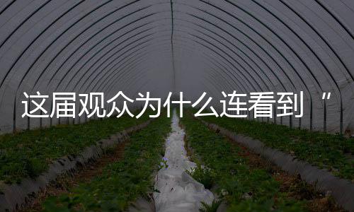 红牛车队雪地赛车性能测试 赛车比赛高清大全视频 也因“真性情”吃过不少亏