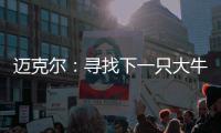 迈克尔：寻找下一只大牛股