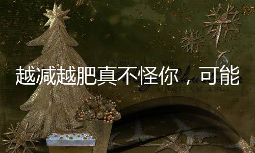 郑州12辆警车将流动抓拍交通违法 警车车号公布 越减越肥肚子越来越大