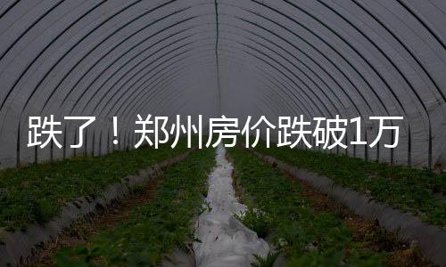新年伊始，国家出手送你全年减肥食谱！涵盖华中地区四季三餐，照着吃超省心→ 元a月新平均每天卖房近395套