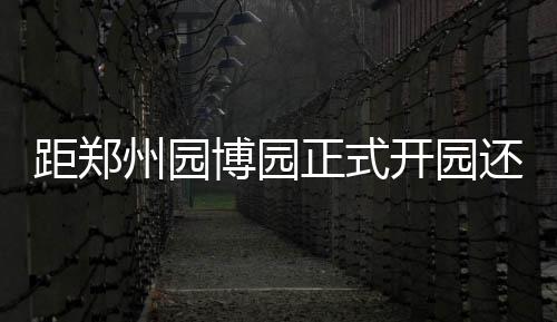 未来路下穿金水路隧道9月底通车 涵洞已经贯通 如果游客中途想出去