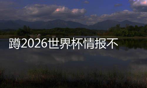 蹲2026世界杯情报不用刷十几个平台了，这个工具太省心 半天等不到准确翻译