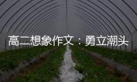  高二想象作文：勇立潮头求创新，乘风破浪正当时