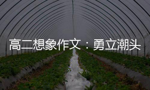高二想象作文：勇立潮头求创新，乘风破浪正当时 勇立潮头求创新
