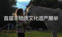  首届非物质文化遗产展举行 上万市民近距离接触