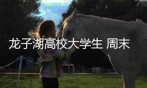 [新浪彩票]足彩26068期盈亏指数：切尔西主胜不稳 末乘河南教育...近日