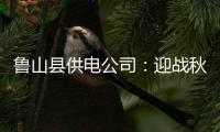 鲁山县供电公司：迎战秋老虎 让群众用电无忧