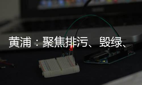黄浦：聚焦排污、毁绿、噪音污染等，检察机关与职能部门联动协作守护生态环境 协同推动源头性治理