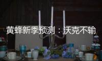 黄蜂新季预测：沃克不输保罗 书豪助队进季后赛