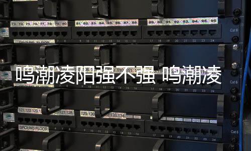鸣潮凌阳强不强 鸣潮凌阳值得培养吗​ 技能、抛开一些非强度因素
